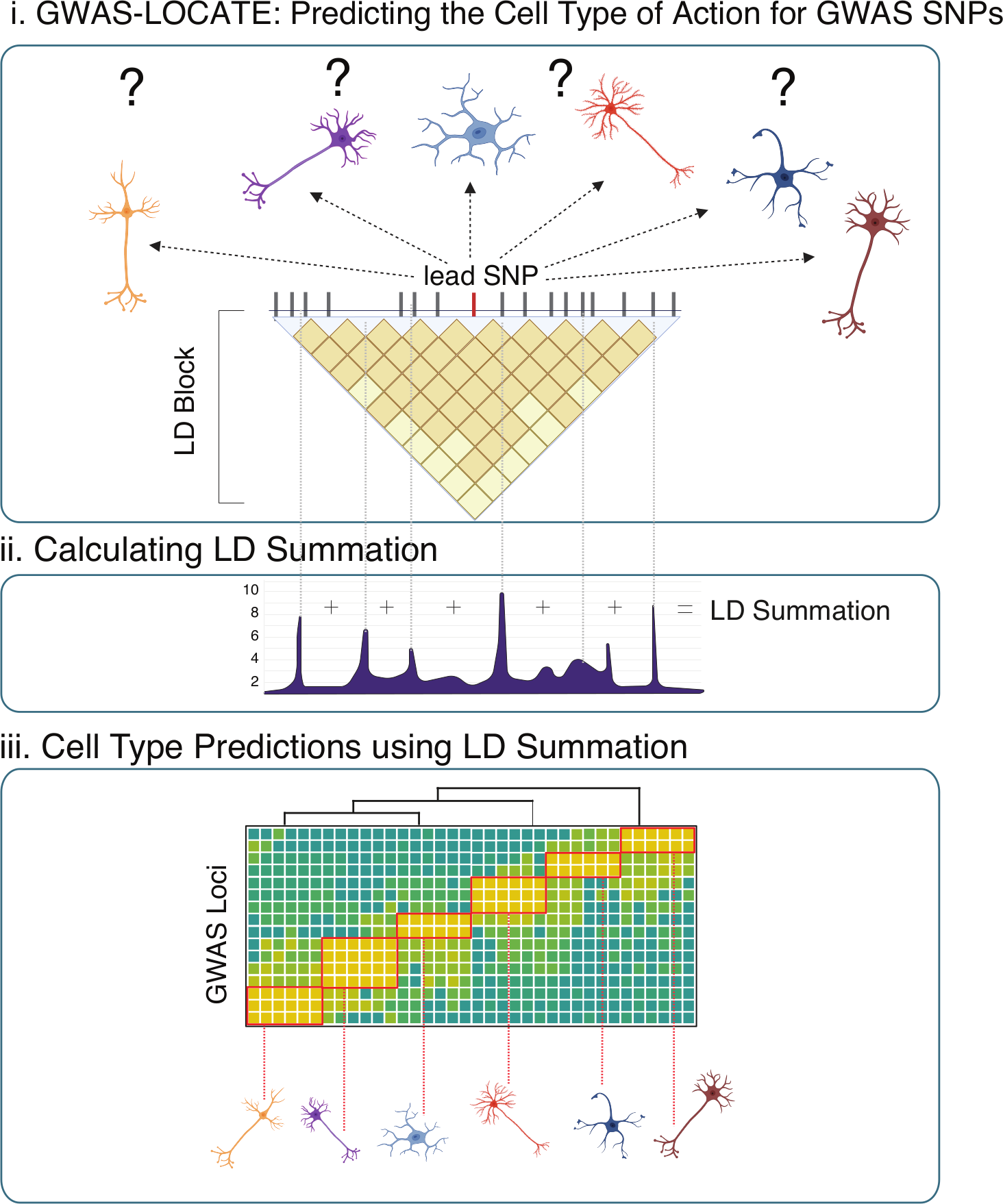 GWAS-LOCATE method: predicting the cell type of action for GWAS SNPs. Three-panel diagram showing (i) a lead SNP and its LD block expanded to multiple candidate cell types, (ii) LD Summation calculated by adding peak signals across the LD block, and (iii) cell-type predictions derived from clustering the LD Summation matrix.